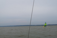 IMG_20200725_114505