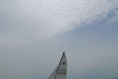 IMG_20200725_134405