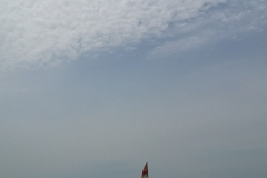 IMG_20200725_134702
