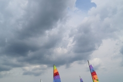 IMG_20200725_140019_1
