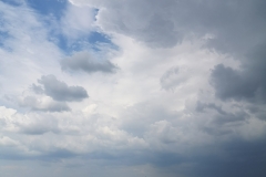 IMG_20200725_142750