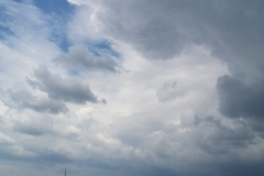 IMG_20200725_142831