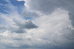 IMG_20200725_142920