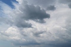 IMG_20200725_143130