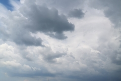 IMG_20200725_143136