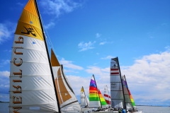 IMG_20200718_165019_1